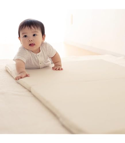 Amazon.co.jp: Next Products(ネクストプロダクツ) ドラえもん