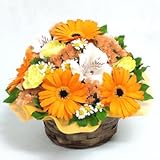 アイスクリーム アプリコット アレンジ