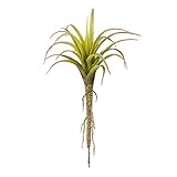 Dariceフェイク多肉