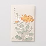 ［中川政七商店］［花園樹斎］　種　金盞花　プラントハンター