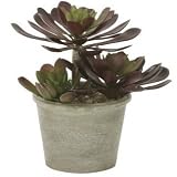 光触媒観葉植物 アオエニウムポット テーブルタイプ光触媒 フェイクグリーン 御祝 内装 インテリア
