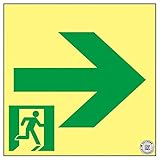 高輝度蓄光通路誘導標識 → ASN951【代引不可】 生活用品 インテリア 雑貨 文具 オフィス用品 その他の文具 オフィス用品 [並行輸入品]