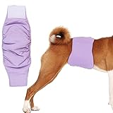 KUVEELA PET 犬用マナーベルト 雄犬用おむつ 犬用オムツカバー 男の子 お散歩 お外出 室内 おでかけ 介護 発情期 通気性 吸水性良い 再利用可能（パープル XL）