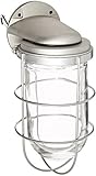 RAB Lighting VBR200G Vaporproof Glass Globe Wire Guard Incandescent Fixtures with Wall Mount Bracket