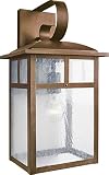 Forte Lighting 1318-01-41 Exterior Wall Light with Clear Seeded Glass Shades, Rustic Sienna [並行輸入品]