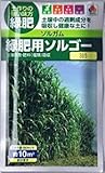 【種子】 ソルガム 緑肥用ソルゴー（60ｍｌ） タキイのタネ