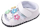 C-Princess 真夏靴 子供靴 ベビーサンダル ファーストシューズ お花付き マジックテープ かわいい 赤ちゃん キッズ 新生児 女の子 (12cm, Eタイプ)