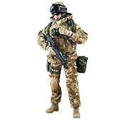 BRITISH ARMY - BLUES AND ROYALS REGIMENT IN AFGHANISTAN - LIEUTENANT