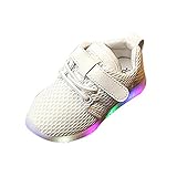 Tovadoo スニーカー 男の子 女の子 LED ライト付き 無地 通気性よい 多色 四季用 可愛い カジュアル 通学 旅行 プレゼント 1-5.5歳