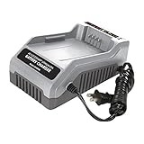 【並行輸入品】Snow Joe iCHRG40 Eco Sharp Lithium-Ion Charger 40-volt