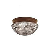 Millennium照明502 2ライトフラッシュマウント天井器具、 502-BZ 1