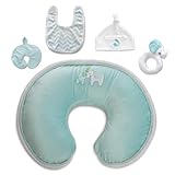 Boppy Slipcovered Nursing Pillow Gift Set by Boppy [並行輸入品]