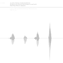 【美品】サカナクション / NIGHT FISHING LPレコード Amazon.co.jp: 【メーカー特典あり】NIGHT FISHING [重量盤