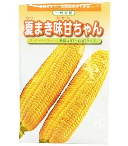 Amazon.co.jp: 甘々娘極甘とうもろこし 種 約2000粒専業農家仕入れ種子