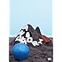 andymori「ひこうき雲と夏の音」