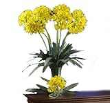 ほぼ自然29インチAfrican Lily Stem (セットof 12 )