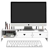 モニター台 卓上 パソコン台 二段式 モニタースタンド 卓上 モニター 台 耐荷重40kg 組立簡単 ディスプレイスタンド pc台 机上台 卓上収納 文具収納 姿勢改善 パソコンラック 猫背防止 ワーク対策 整理整頓 テレワーク 在宅勤務 オフィス 省スペース (ホワイト)