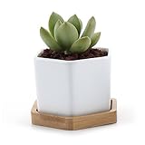 T4U 7.2　陶器鉢 6サイズ 植木鉢 多肉植物 サボテン鉢