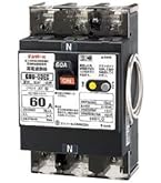 Amazon.co.jp: テンパール 経済タイプ 漏電遮断器 30AF 2P2E 30A 30mA