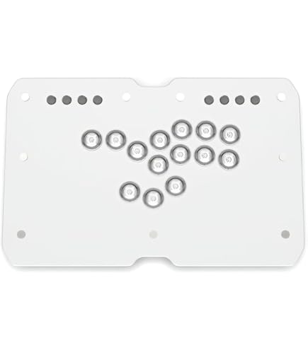 Amazon | PUNK WORKSHOP R14パンクワークショップ レバーレス PWS