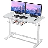 Farini 昇降式デスク 電動 メモリー機能 衝突検知 パソコンデスク（幅120×奥行60）高さ調整 ガラス天板 丸角 引き出し付き スタ