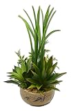 造花　フェイクグリーン　多肉植物　寄せ植え　サボテン　グリーンプラント　インテリアグリーン　C