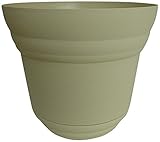 Austram-グリフィスクリークで706013 12をデザイン。デュモンプランターアイビー