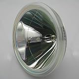 Supermait P-VIP100-120/1.3 P23h プロジェクター交換用電球 純正 オリジナル OEM 裸電球 適用機種:R9842020 R9842440