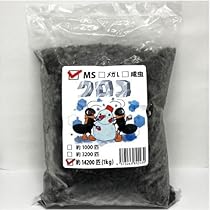 Amazon | 【邑楽ファーム】【クール便発送】冷凍クロコオロギ MS