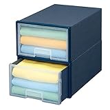 アイリスオーヤマ 無臭見えるモスボックス ブルー MCC×2