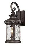 Quoizel CHI8409IB Chimera 19.5-Inch H 1 Light Outdoor Wall Lantern by Quoizel [並行輸入品]