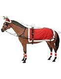 Gift Corral Complete Christmas Driving Set [並行輸入品]