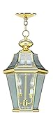 Livex Lighting 2265-02 Georgetown 2-Light Outdoor Chain Hang, Polished Brass [並行輸入品]