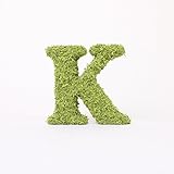 A plus floral art インテリアグリーン イニシャルモス [ K ] アルファベット オブジェ 置物 苔 イニシャル 雑貨 北欧風 インテリア