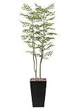 造花アート・観葉植物　アートゴールデンリーフ1.8＜ 開業祝い 開店祝い 開院祝い リニューアルオープン祝いに＞