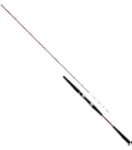 Amazon | ダイワ(DAIWA) 船竿 ビシアジX MH-170 釣り竿 | ダイワ(DAIWA
