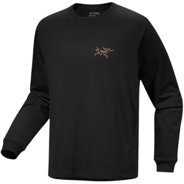 Amazon.co.jp: [アークテリクス] Rho LT Crew Neck Men