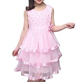 Ruideng ガールズサマープリンセスドレススカートノースリーブのドレス ワンピースのスカートのドレスチュチュの公演発表会 結婚式 入園式 演奏会 ケーキベール (110cm, ピンク)