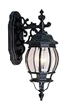 Livex Lighting 7706-04 Outdoor Wall Lantern with Clear Beveled Glass Shades, Black [並行輸入品]