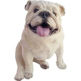 High Quality Sculpture, Small, Sitting White Bulldog