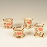 金魚絵柄小鉢4点セット(受け皿付)