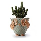 T4U 11CM 浮き彫り フクロウ型 多肉植物、サボテン鉢 フラワーポット プランター容器 グリーン