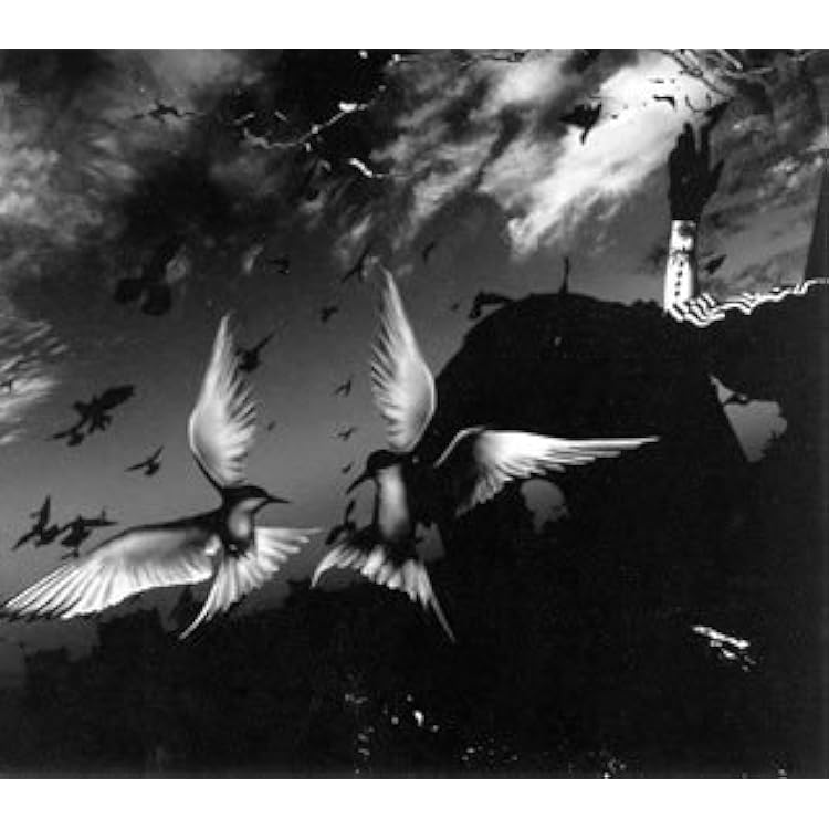 Pierrot 初期〜中気アルバムシングルCDセット　美品 Pierrot 初期〜中気アルバムシングルCDセット 美品 Pierrot 初期