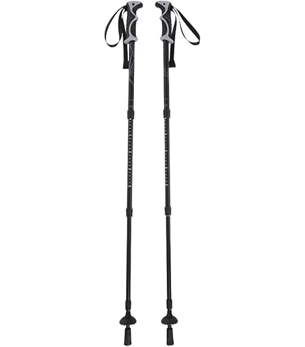 Amazon | キザキ(kizaki) ウォーキングポール APBC-ZG14S パープル(PPL