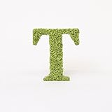 A plus floral art インテリアグリーン ワンサイド イニシャルモス [ T ] アルファベット レター オブジェ 置物 苔 イニシャル 雑貨 北欧風 インテリア プリザーブドフラワー
