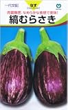なす・縞むらさき 約9粒