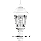Progress Lighting P5482-31 Cast Post Lantern with Clear, Beveled Glass, Textured Black [並行輸入品]