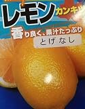 トゲナシレモン(シチリアレモン):果樹苗