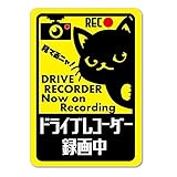 ドラレコひょっこり猫 ステッカー・マグネット 選択可 (マグネット)