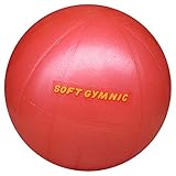 ギムニク（GYMNIC） 小さい バランスボール ニューソフトギムニク 表面凹凸なし レッド 赤 最大直径約23cm 特製小冊子付